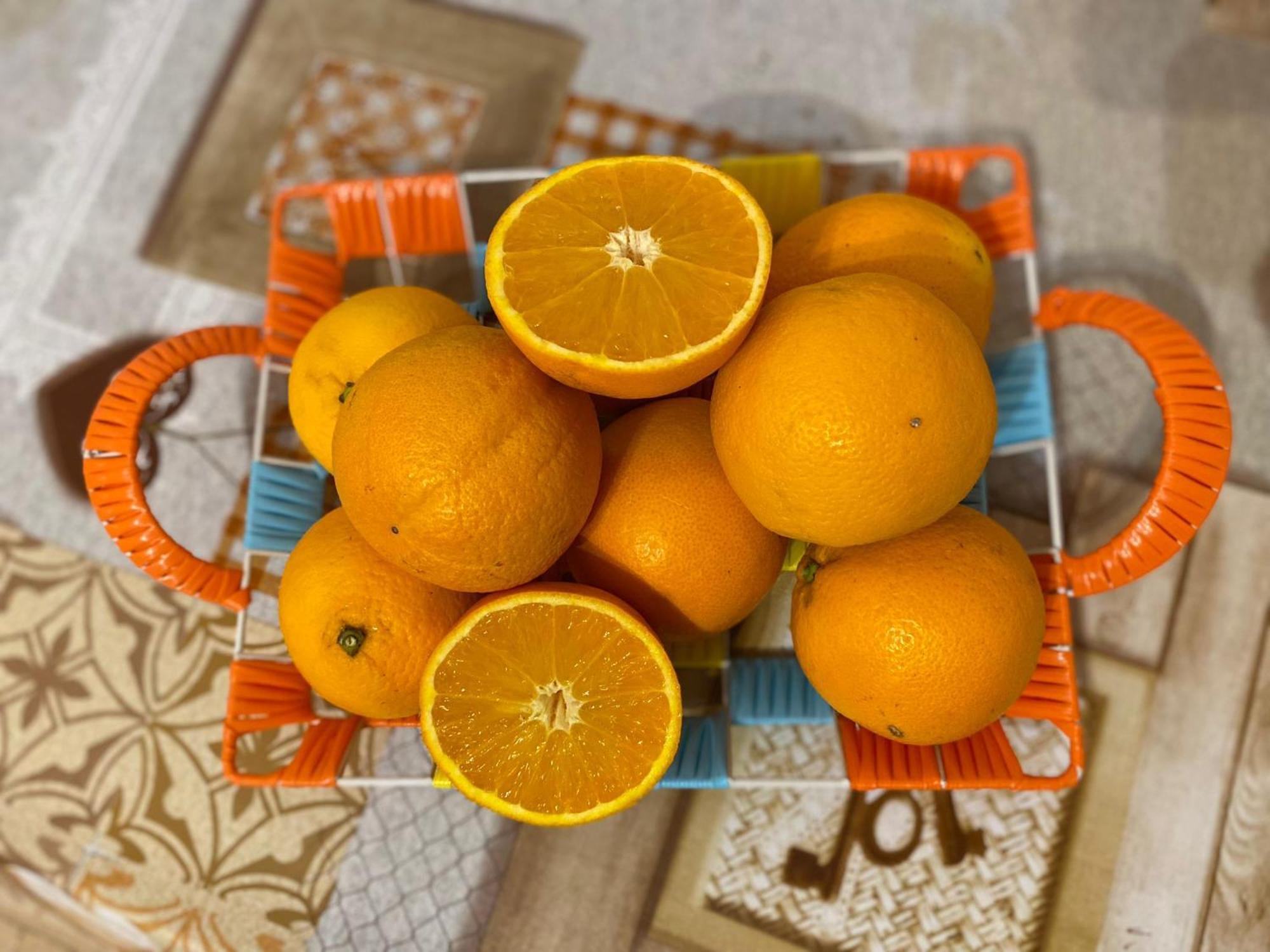 I Feel Orange Ξενοδοχείο Λενιάνο Εξωτερικό φωτογραφία